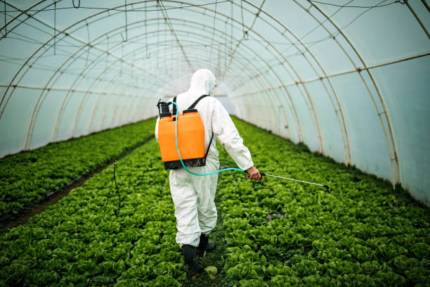 Best Best Pest Control Companies  in Holiday Island, AR