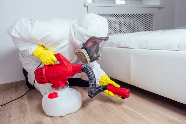 Best Pest Prevention Services  in Holiday Island, AR
