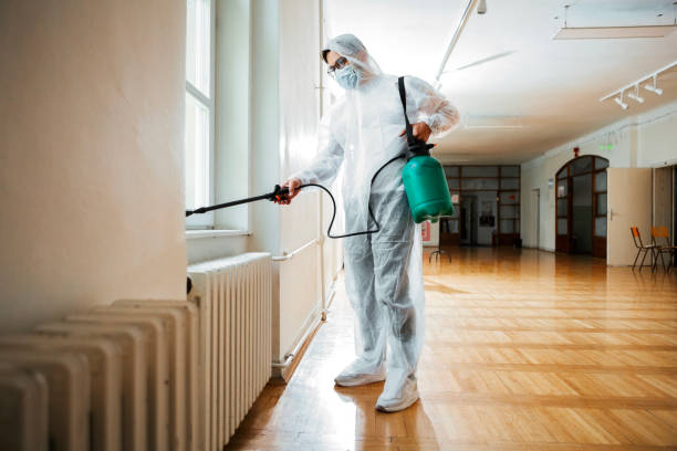 Best Local Pest Control Services  in Holiday Island, AR