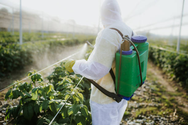 Best Insect Control  in Holiday Island, AR